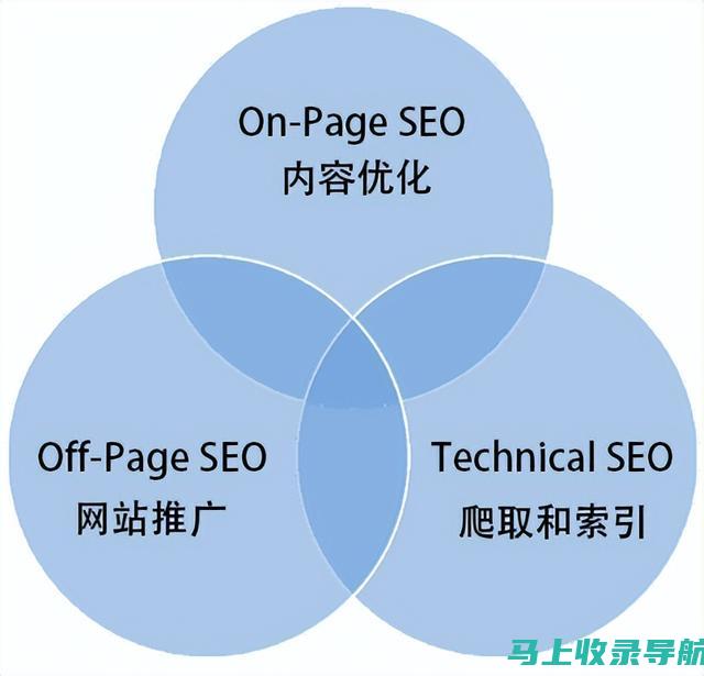 SEO入门到精通实战指南：200讲带你飞跃SEO学习之路