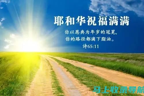 站长福音：最新网络站长工具大盘点